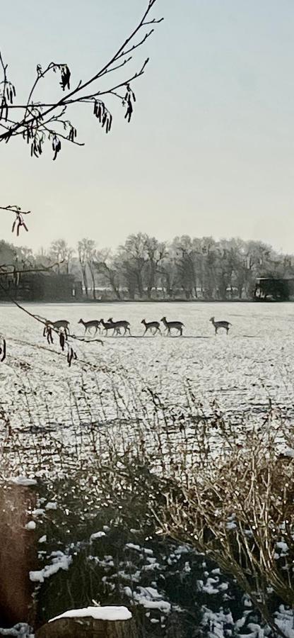 Skorstensfejerens Bed&Breakfast Bogense Eksteriør bilde